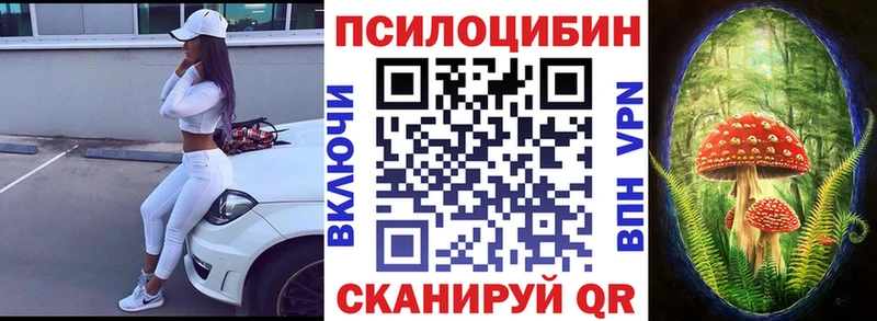 дарк нет какой сайт  где найти наркотики  Камышлов  Псилоцибиновые грибы Cubensis 